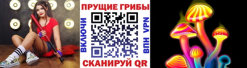 цена   Макарьев  МЕГА tor  Псилоцибиновые грибы Psilocybe 